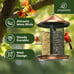 Kingsyard Metal Bird Feeder for Outdoor Hanging - Weather Resistant Chew-Proof W