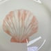 Sango COQUILLE 3664 Sangostone Peach Seashell Clam Oven Safe Salad Plates Set 4