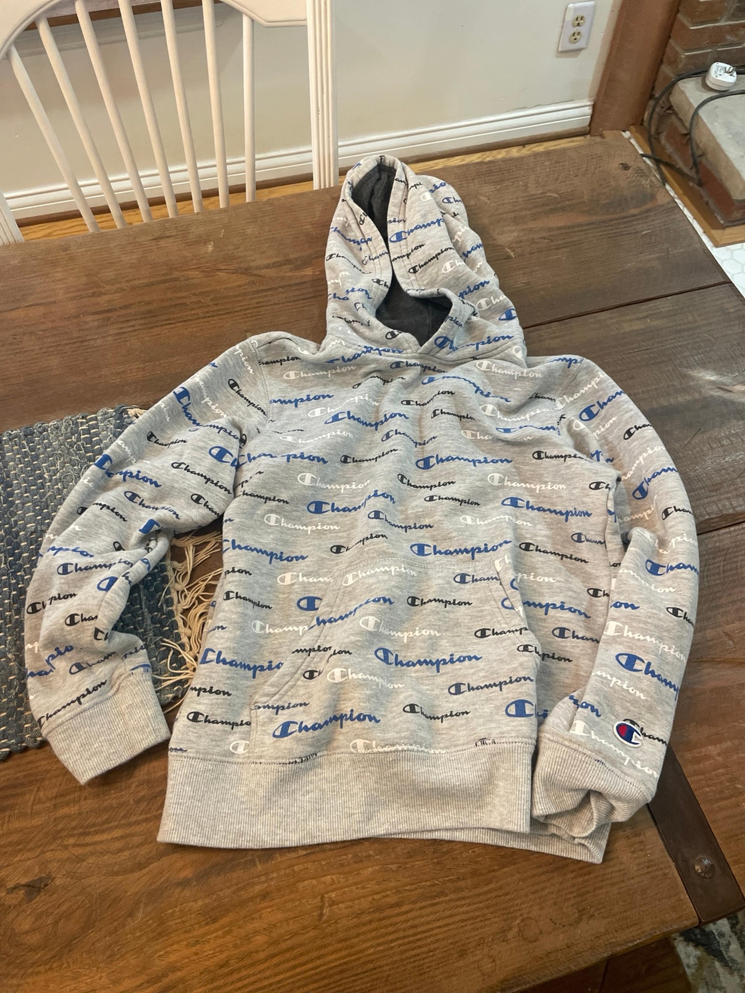Youth champion hoodie