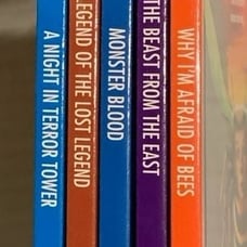 Goosebumps books Collectible Tin UNREAD R.L. Stine