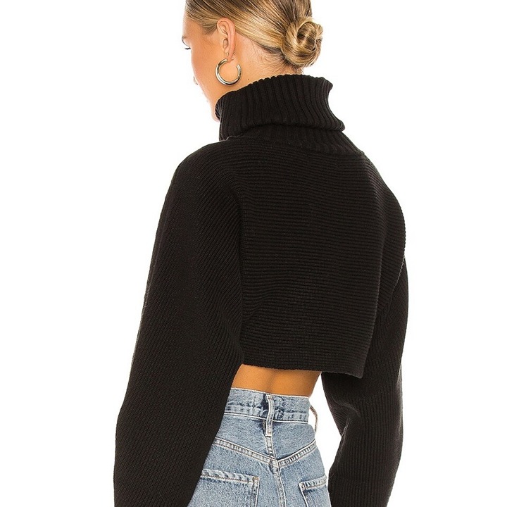 Aritzia Wilfred Cropped Sweater