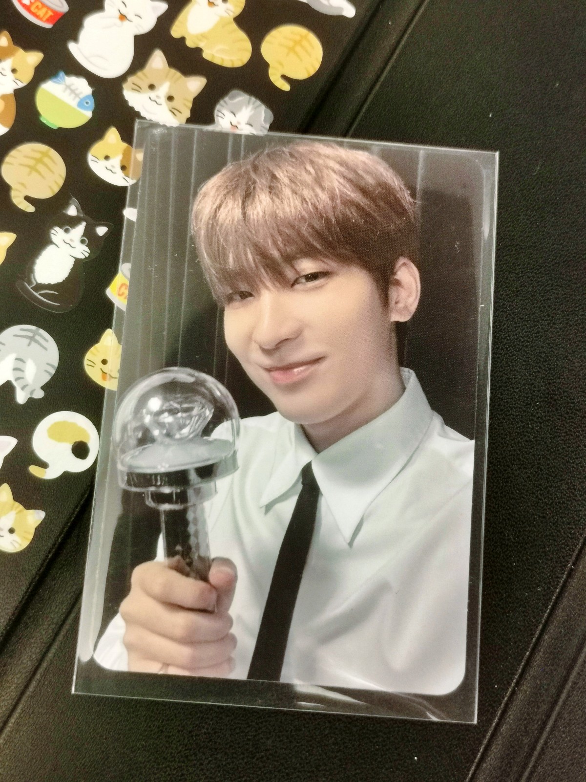 Seventeen Right Here Carat Zone Wonwoo PC