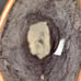 Ugg Australia Beacon 5485 Sheepskin Lined Brown Leather Boots Mens Size 8