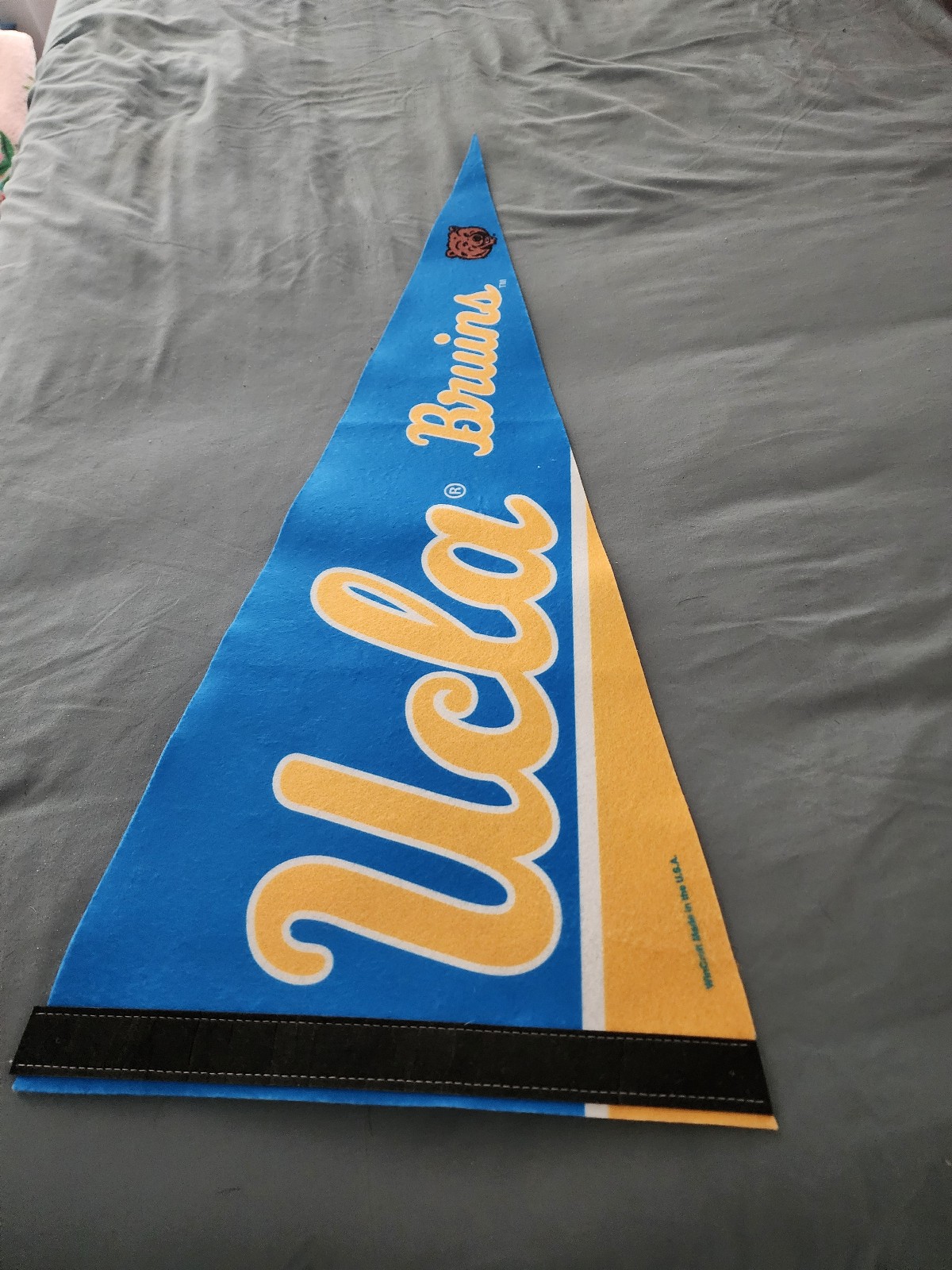UCLA pennant