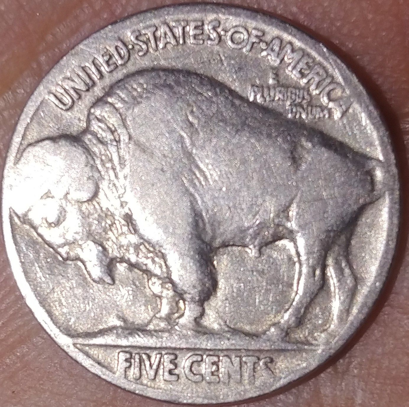 1936 buffalo 5 cent rare 3 1/2 leg