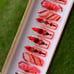 Press on nails,BUNDLE