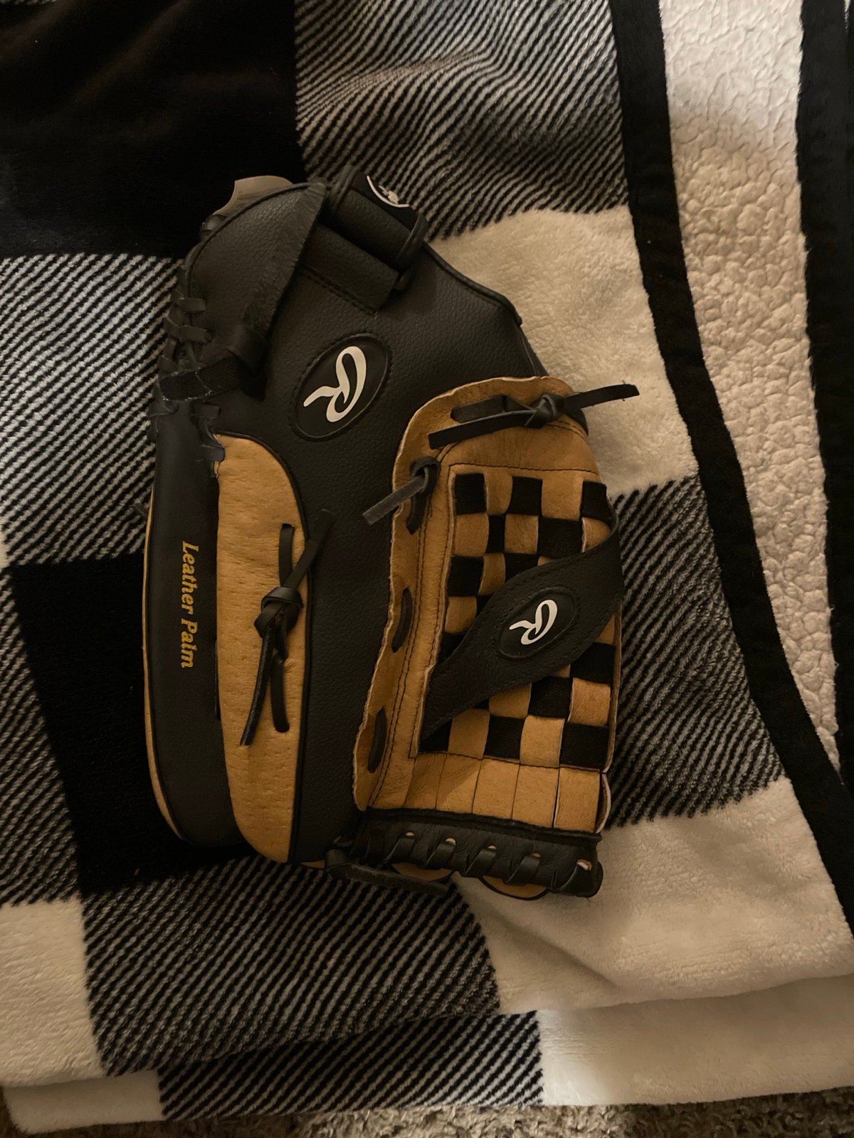 baseball glove
