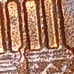 1982 Lincoln Memorial wheat penny 2.5g errors,off center, nmm