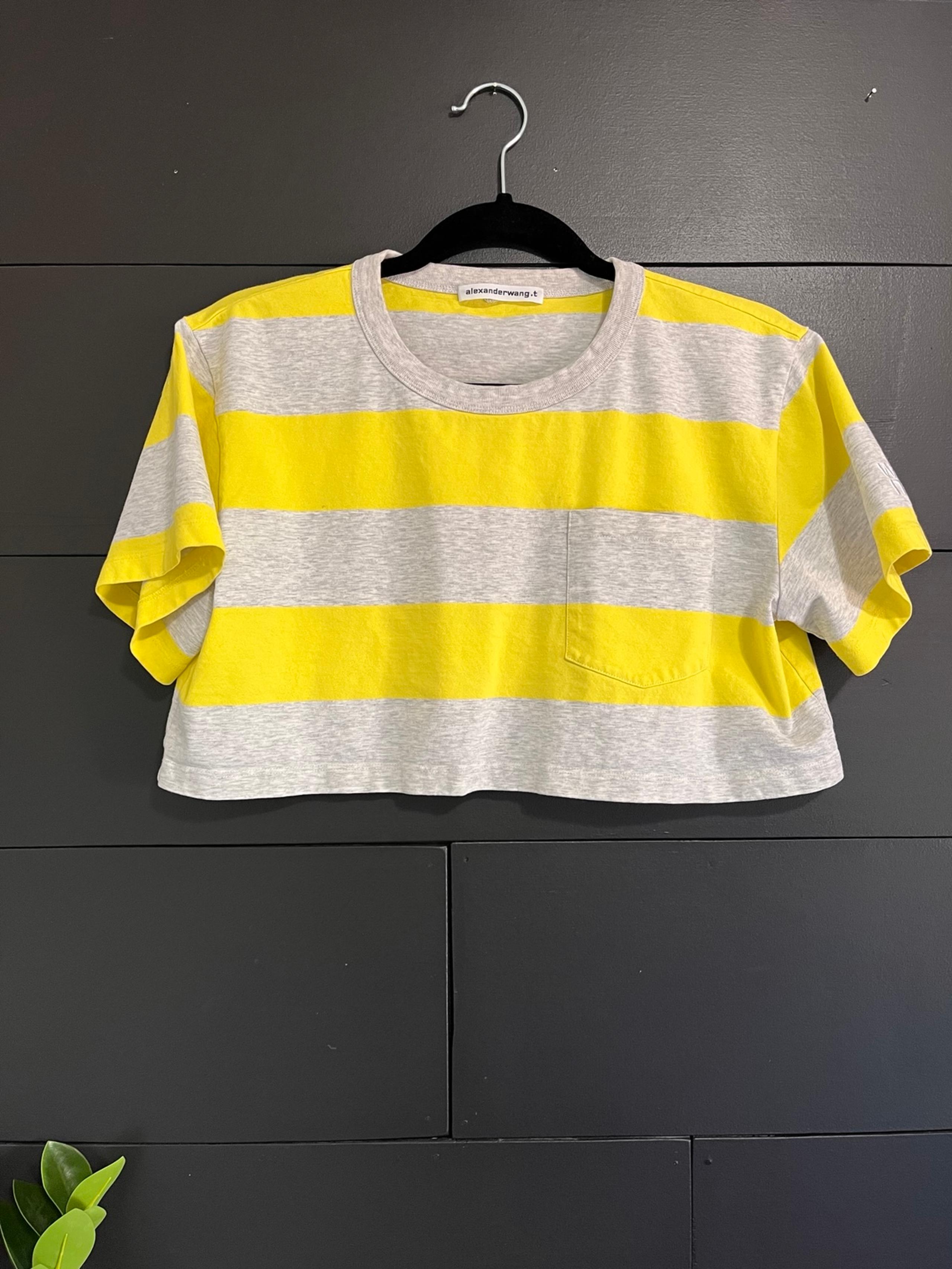 ALEXANDER WANG Color Block Crop Top Crewneck T-shirt Women’s Sz S EUC