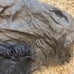 Roberto Cavalli Scarf
