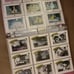 Mickey Mouse trading cards first edition full set
