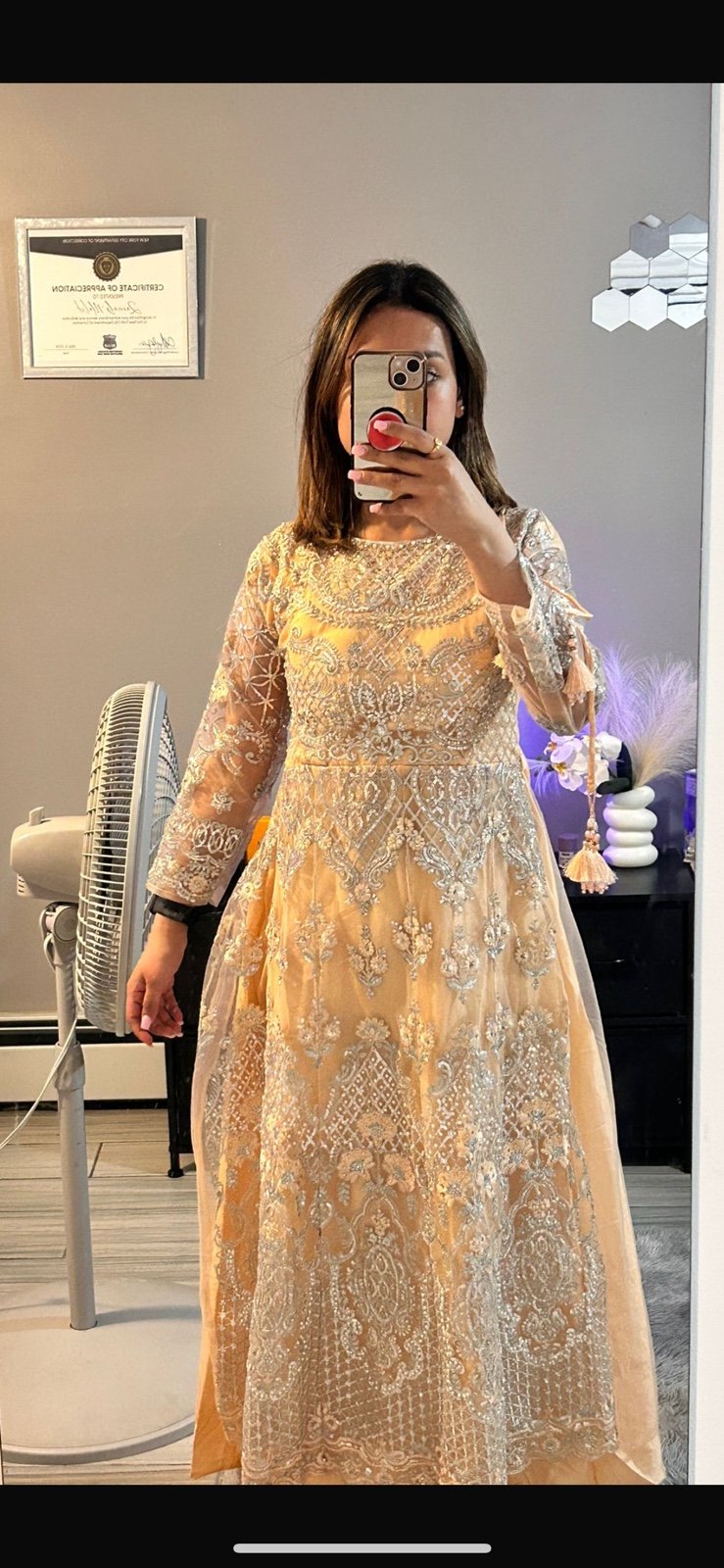Pakistani embroidery dress