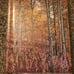 1962 Union 76 Los Angeles Dodgers Oil Portrait Paintings 20 / 24 Booklet