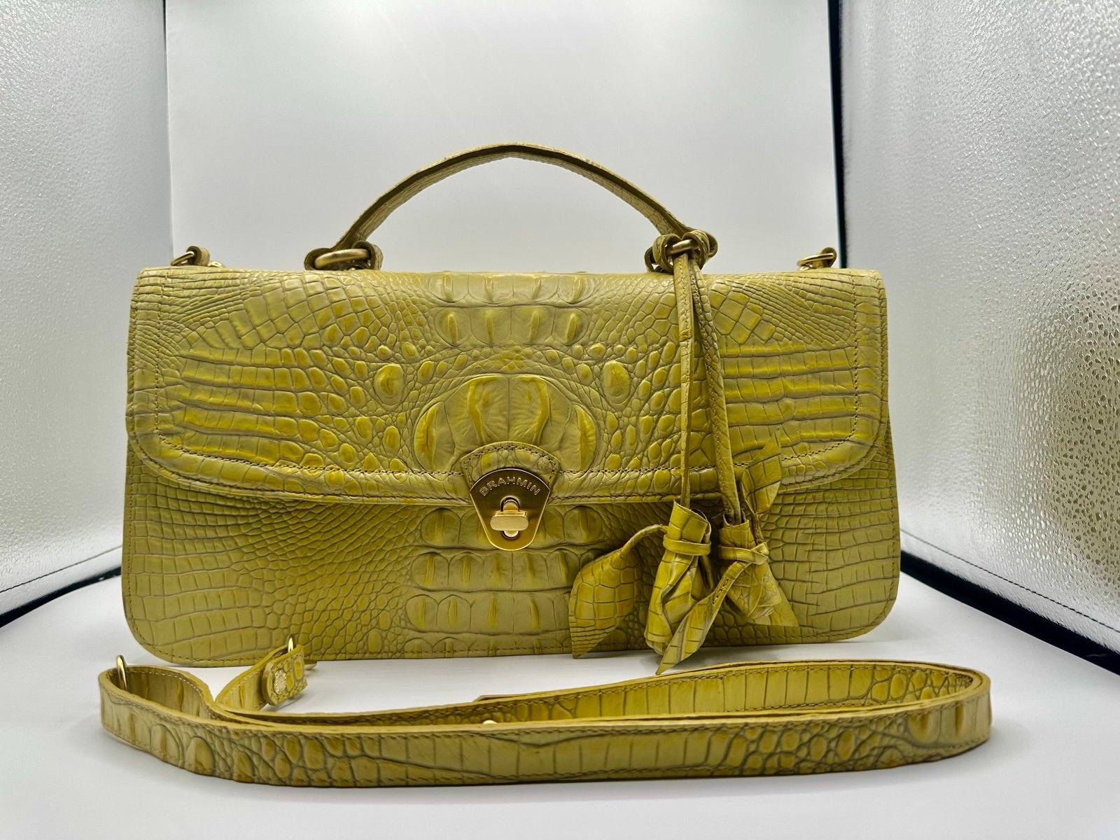 Absolutely Stunning Brahmin Clutch Bag