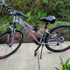 Adult Schwinn Bike
