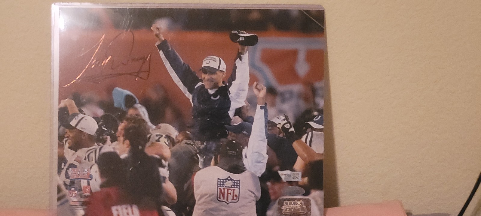 Tony dungy auto