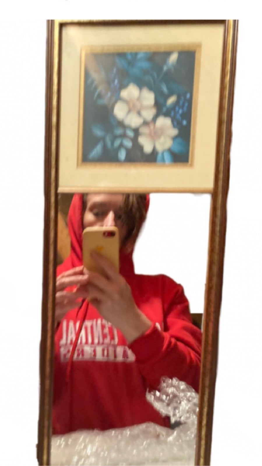 Vintage mirror with painting