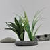 4 Live Plant Anchors | Handmade Plant Weights | Natural Rock Aquarium Decor