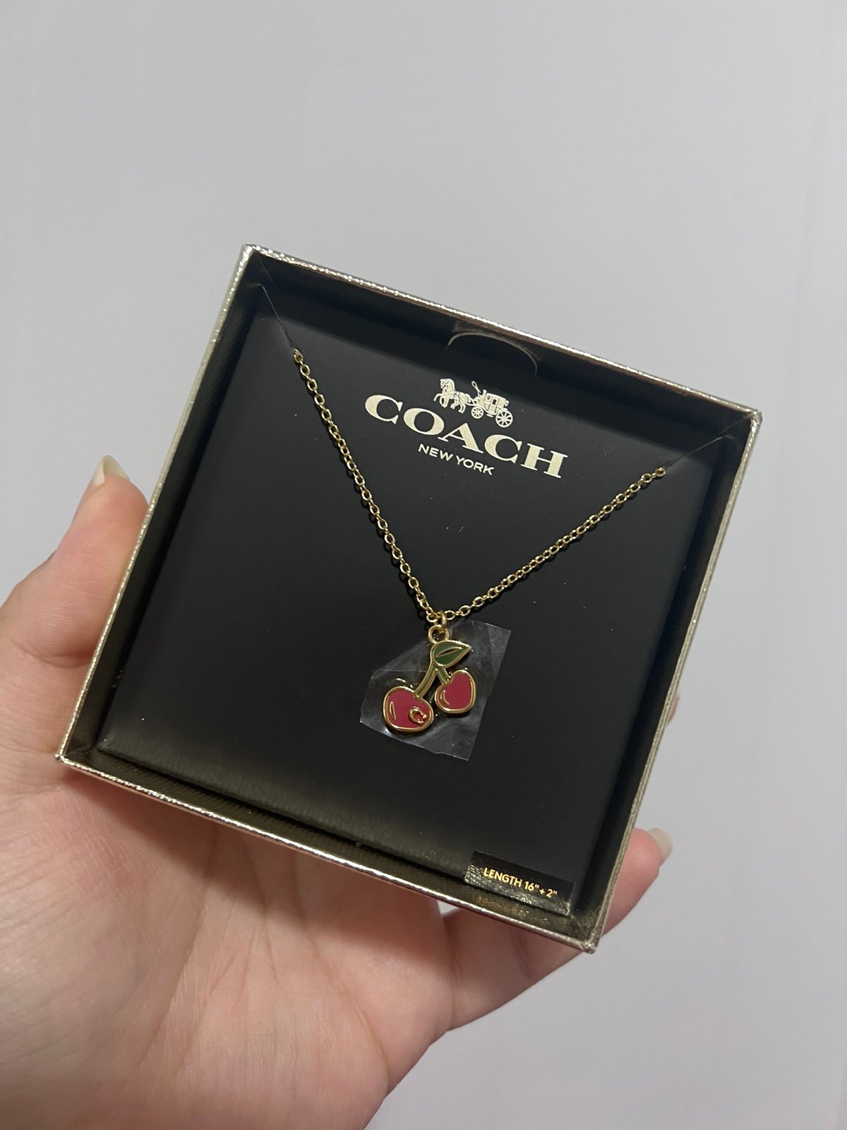 Coach Cherry Charm Necklace