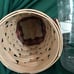 2017 Horizon of Hope Basket Set - RED