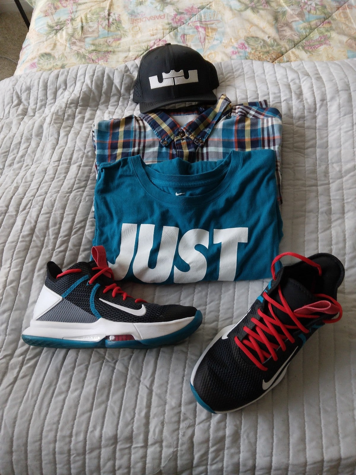 lebron shoes