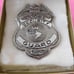 Security Guard Pin