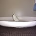 Rae Dunn Harry Potter Hedwig Ceramic Serving Platter