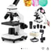 Compound Microscope