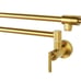 Pot Filler Faucet Brushed Brass