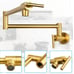 Pot Filler Faucet Brushed Brass