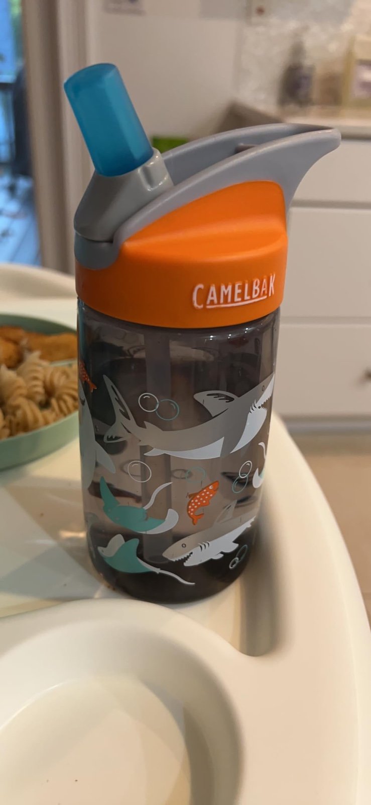 CamelBak Kids Eddy Water Bottle