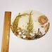 Vintage Lucite Sea Shell Star Fish 8 Coastal Nautical Trivet Hot Plate
