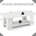 Large 36 Inch 2-tier Wooden Modern Coffee Table with Storage Shelf L4