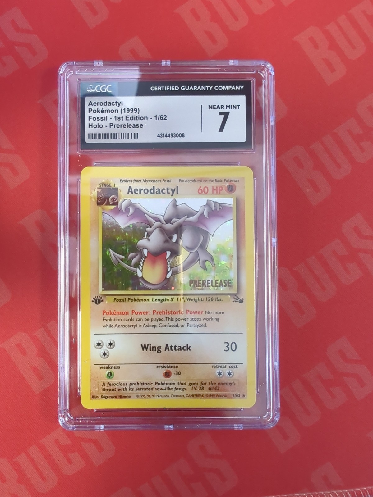 Aerodactyl fossil graded