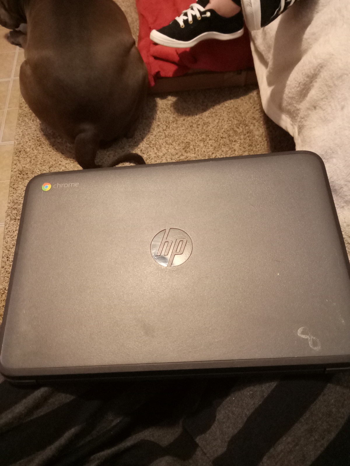 HP 2-in-1 Touch-Screen Chromebook