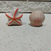 Seashell & Starfish Salt & Pepper Shaker