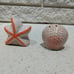 Seashell & Starfish Salt & Pepper Shaker