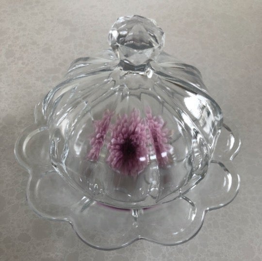 DIY Terrarium Glass Cheese Plate W/ Lid