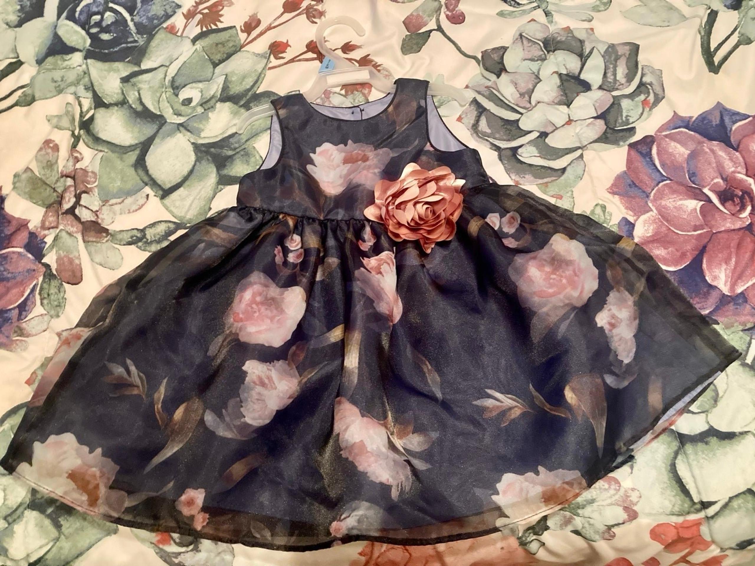 Blue Floral Dress (12 Months)