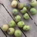 5 lbs of black walnuts in shell