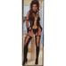 Sheer w/ Metal Buckles Gloves Leg Guards