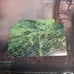 Magic: The Gathering Mirrodin Besieged Event Deck Infect & Defile Box (box only)