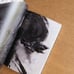 Kazuo Shiraga: A Retrospective Catalog