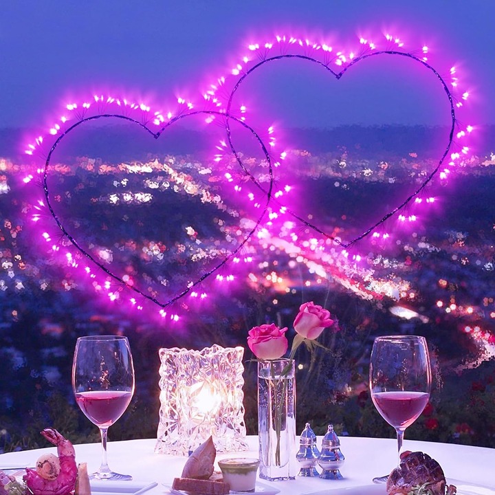 2 Pack Valentines Day Window Lights Decorations
