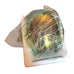 NEW Water Droplet Glass Electric Oil Burner Warmer G9 Halogen Lamp