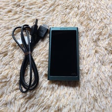 SONY NW-A50 Digital Music Player Body