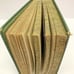 Antique '17 Illustrated BIBLE READINGS