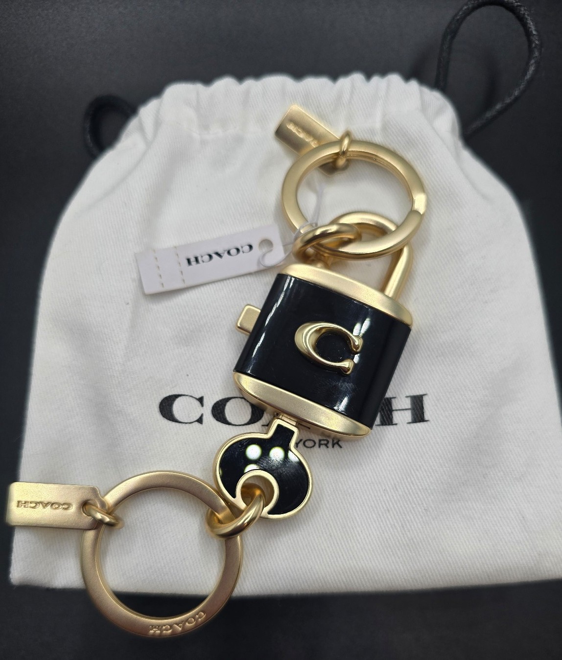 Coach Lock and Key Bag Charm / Key Ring
