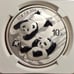 2022 China S10Y 30g .999 Fine Silver Panda 40th Anniversary NGC MS 70 Perfect!