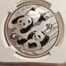 2022 China S10Y 30g .999 Fine Silver Panda 40th Anniversary NGC MS 70 Perfect!